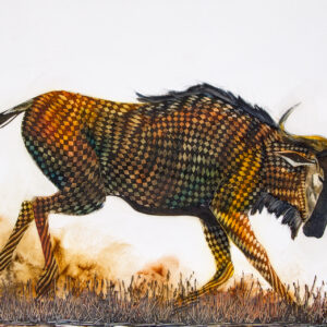 Wildebeest