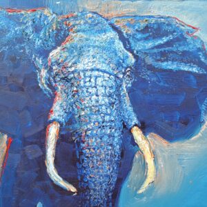 G Oxche - The Bull