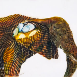 K Gavi-Elephant