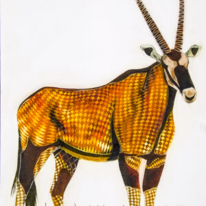 K Gavi - Oryx