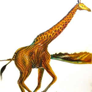 K Gavi - Galloping Giraffe