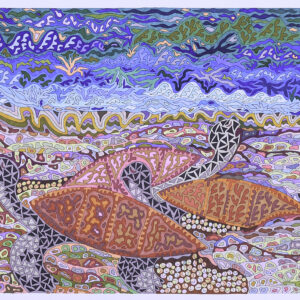 Turtle Family