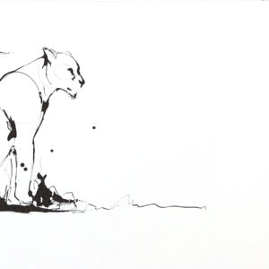 G de Lange - Lioness