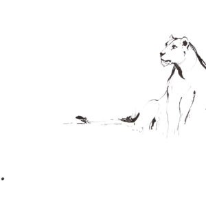 G de Lange - Large Lioness