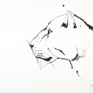 G de Lange - Lioness Portrait